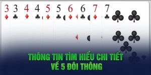 5 Đôi Thông